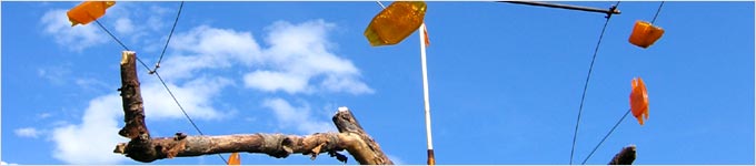 Kunstprojekt Zaunkönig